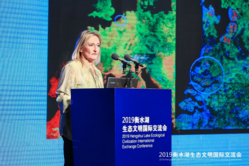 十余國知名專家衡水論劍 共話湖城生態(tài)文明建設之路