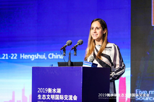 十余國知名專家衡水論劍 共話湖城生態(tài)文明建設之路