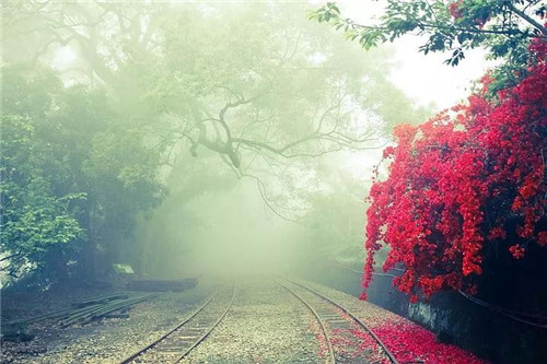 是鐵路也是風(fēng)景:線(xiàn)性文化遺產(chǎn)的活化利用