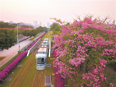 廣州市用繡花功夫做好城市規(guī)劃建設(shè)管理