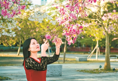 廣州市用繡花功夫做好城市規(guī)劃建設(shè)管理