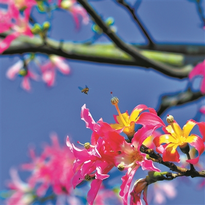 廣州市用繡花功夫做好城市規(guī)劃建設(shè)管理