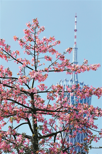 廣州市用繡花功夫做好城市規(guī)劃建設(shè)管理
