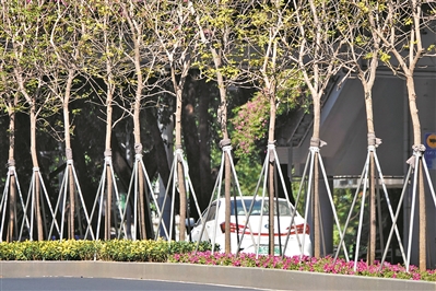 廣州市用繡花功夫做好城市規(guī)劃建設(shè)管理