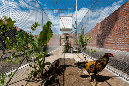 越南雞舍設(shè)計