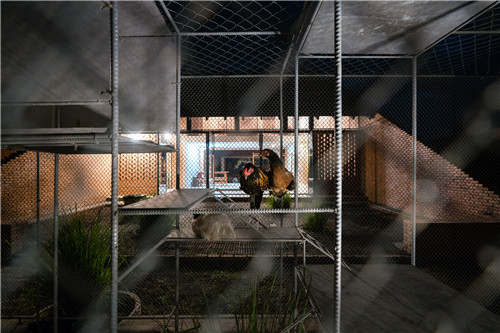 越南雞舍設(shè)計