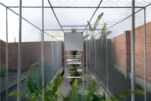 越南雞舍設(shè)計