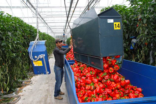 瑪哈：荷蘭的水管理與城鄉(xiāng)規(guī)劃