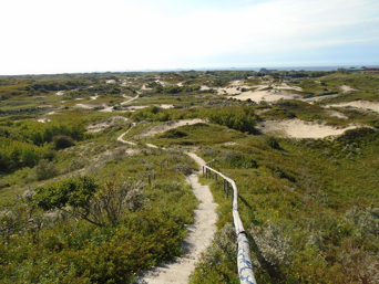 瑪哈：荷蘭的水管理與城鄉(xiāng)規(guī)劃