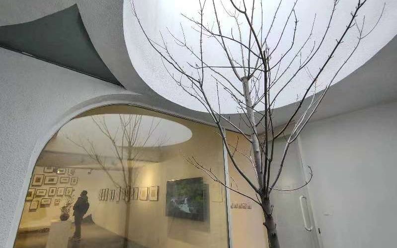 胡同深處巨變：北京城市更新的漫長實(shí)驗(yàn)