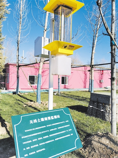 昔日批發(fā)場(chǎng) 今朝生態(tài)園