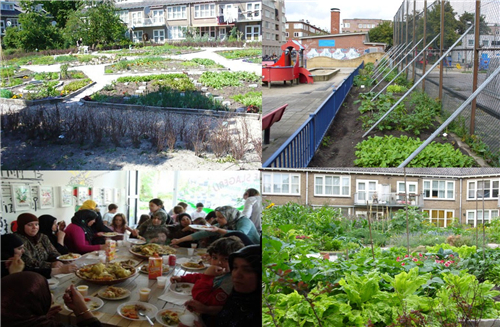 蔡建明：城鄉融合下的都市農業發展趨勢