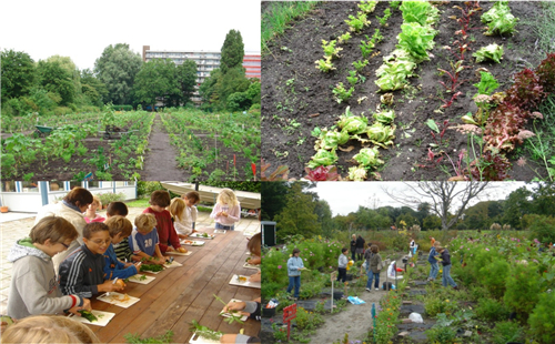 蔡建明：城鄉融合下的都市農業發展趨勢