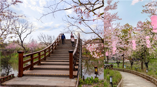 劉子明：第二自然里的怡人空間