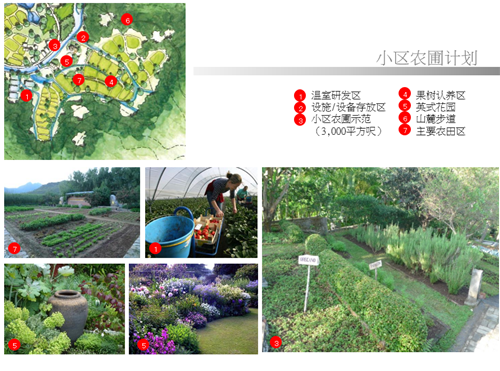 汪怡嘉:都市農業——以二澳農場為例