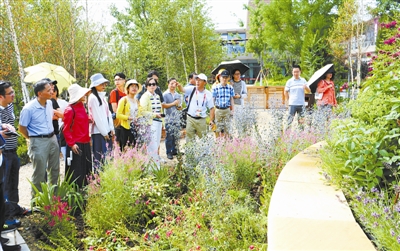 中國花境要走中國特色的可持續發展之路