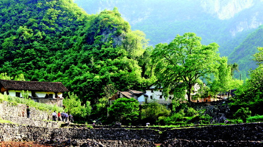 古村守護(hù)者張安蒙：“無(wú)品官做有品事”