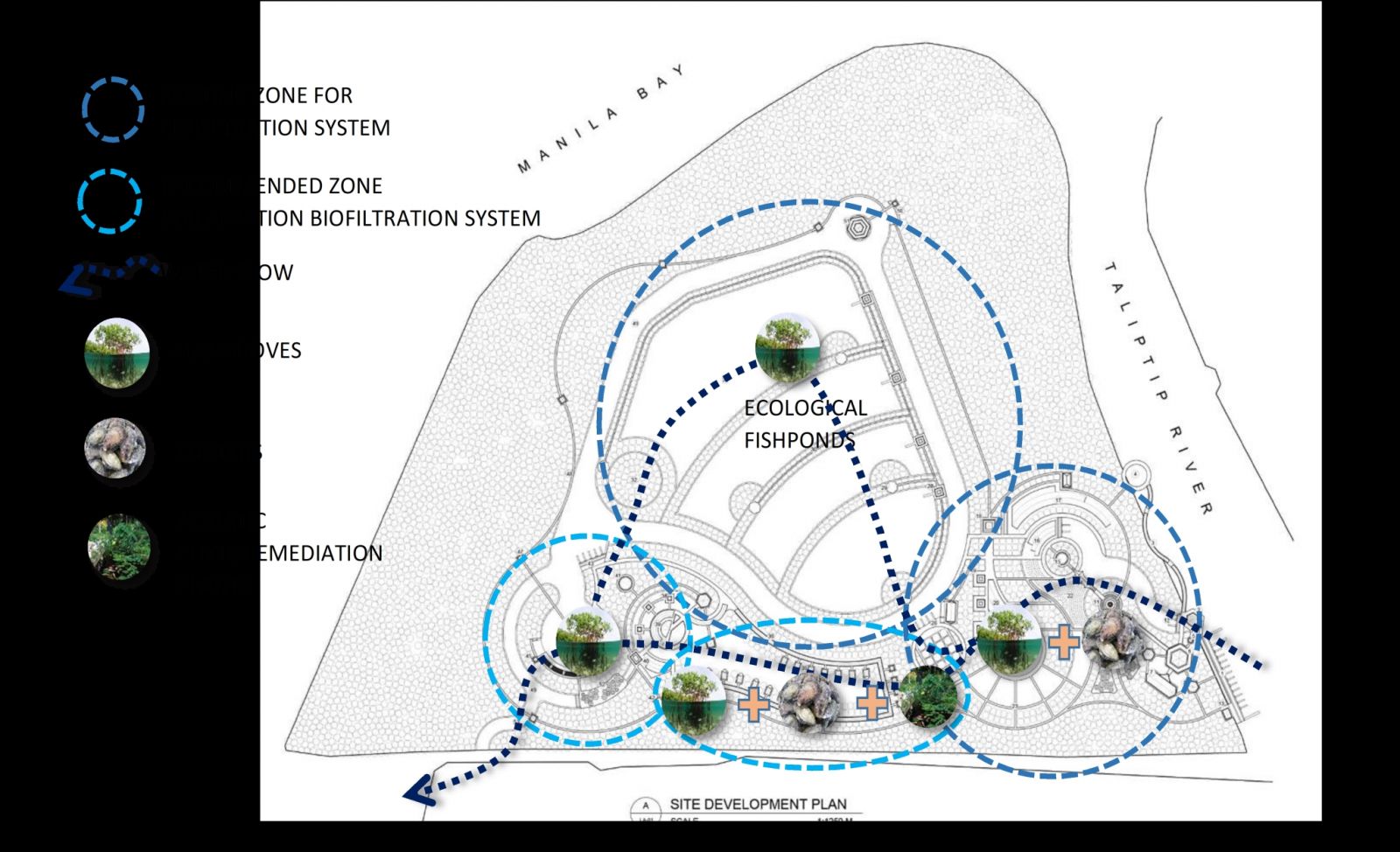 Madonna P.Danao：布拉坎紅樹林的保護