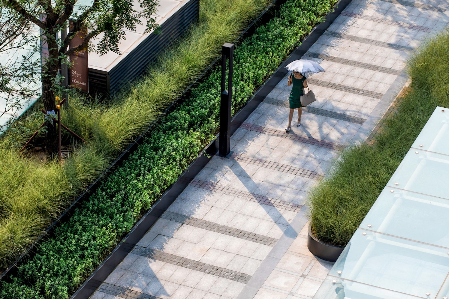 樓穎：綠色智慧在城市空間中的設計實踐