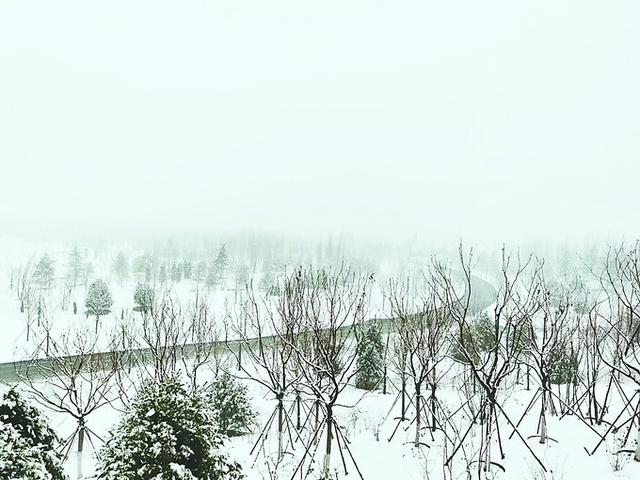 北京城市副中心5.5公里星形園路全線貫通，預(yù)計年底前增綠8000畝