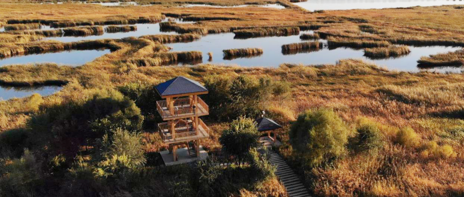 唐艷紅：基于環境的城市公共空間景觀營造