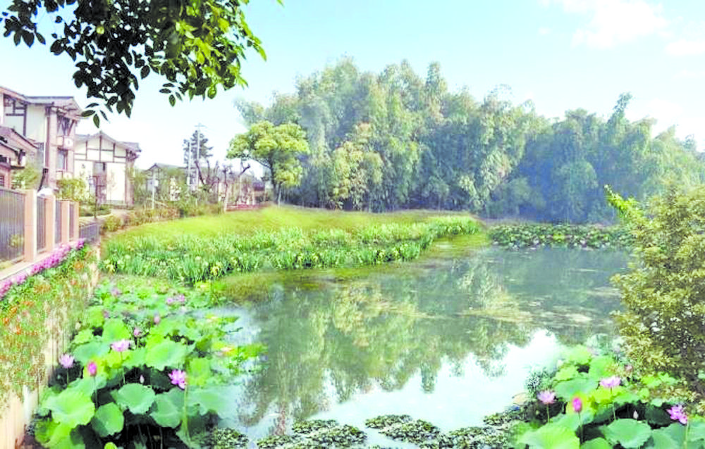 成都22個特色鎮、川西林盤全球征集規劃設計方案