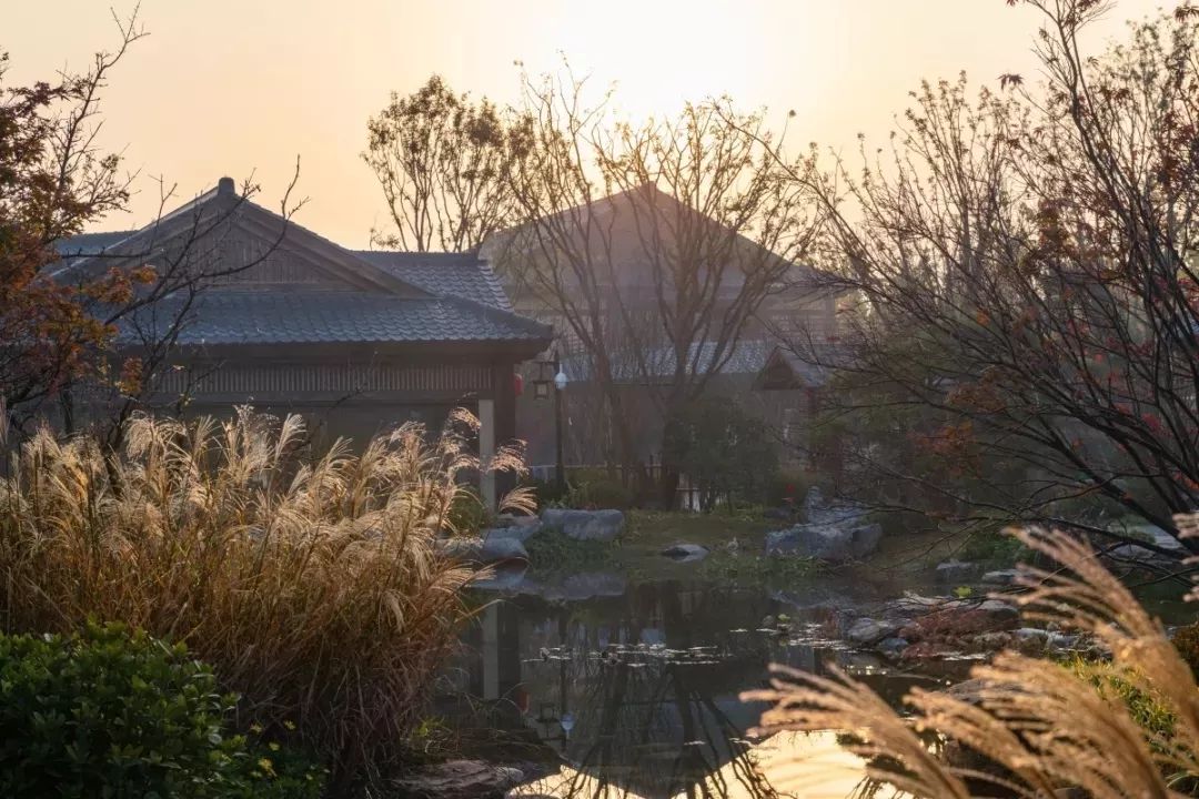 穿越千年盛唐，赴山水詩意之境 | 太白山·唐鎮(zhèn)