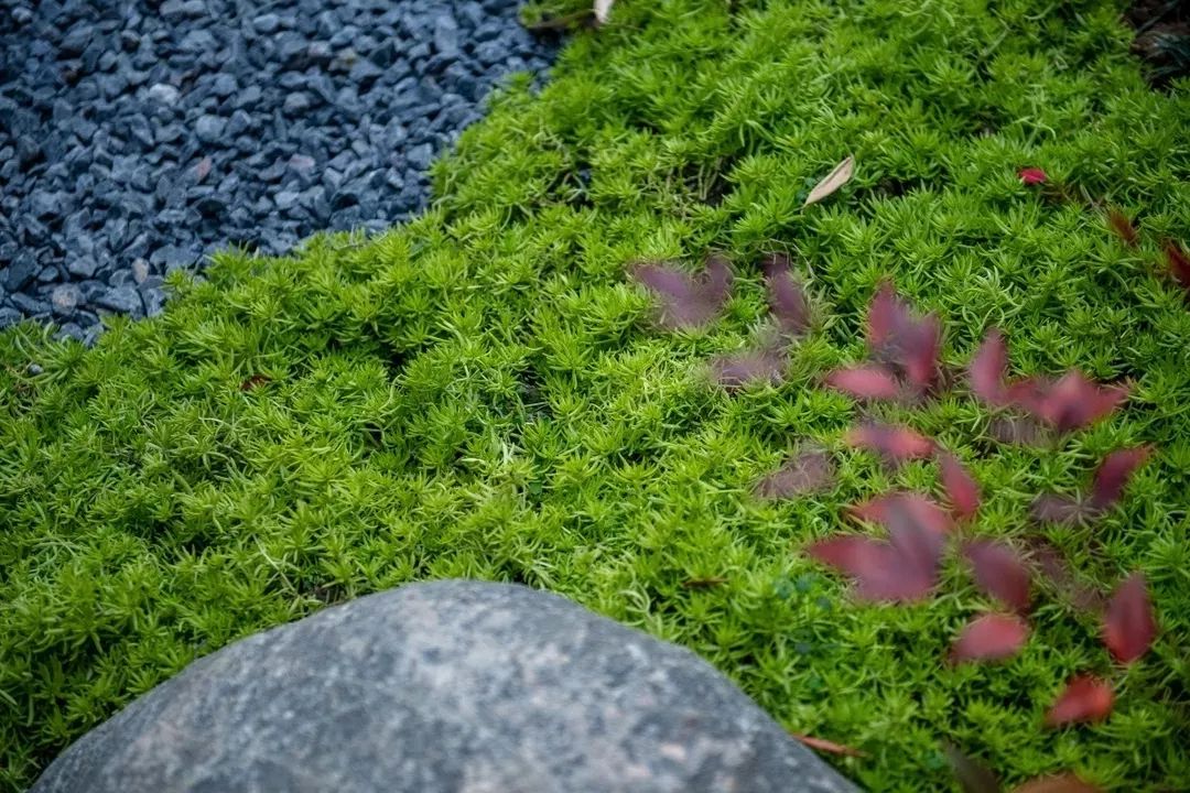 穿越千年盛唐，赴山水詩意之境 | 太白山·唐鎮(zhèn)