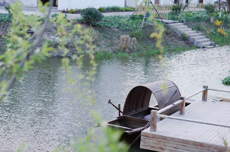 從老屋殘巷到網紅盛景——傳統村落的保護與活化