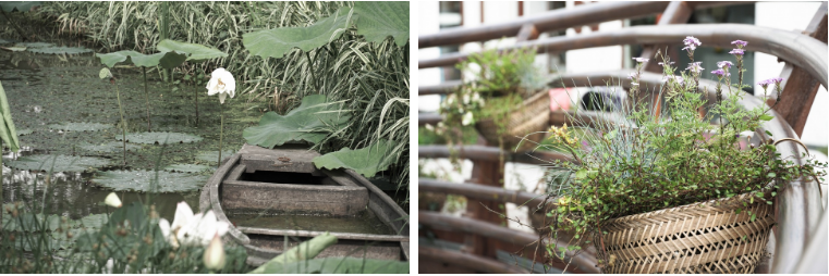 從老屋殘巷到網紅盛景——傳統村落的保護與活化