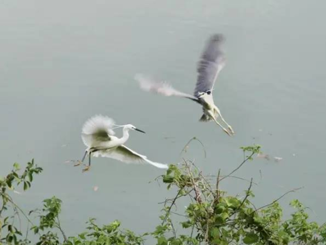 從老屋殘巷到網紅盛景——傳統村落的保護與活化