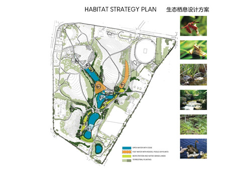 2019園冶杯專業獎大獎丨悉尼公園水再利用工程景觀設計