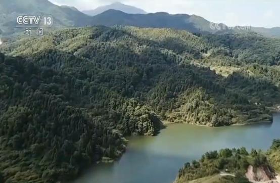 國家林業和草原局：我國國有林場改革任務全面完成