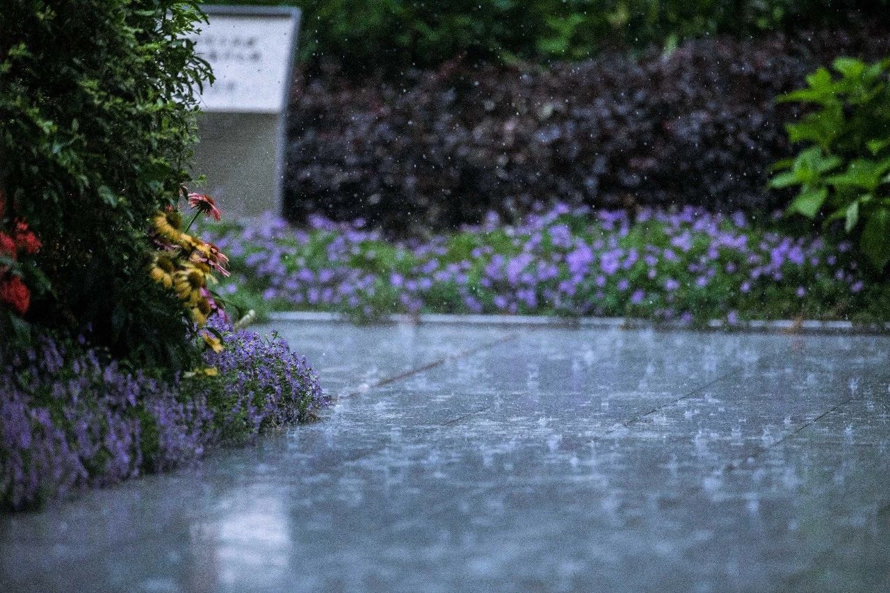 第十屆園冶杯地產園林大獎作品,每一個都值得珍藏