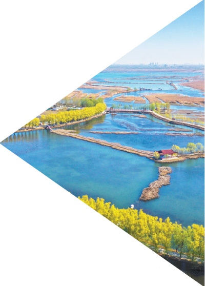 段進院士:科學規(guī)劃讓城市更美好