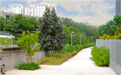 園冶杯專業(yè)獎(jiǎng)|阿比阿比及淡賓尼河ABC水計(jì)劃
