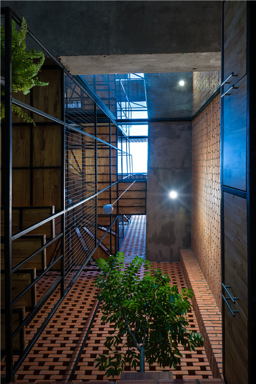 Tropical Space設計的住宅