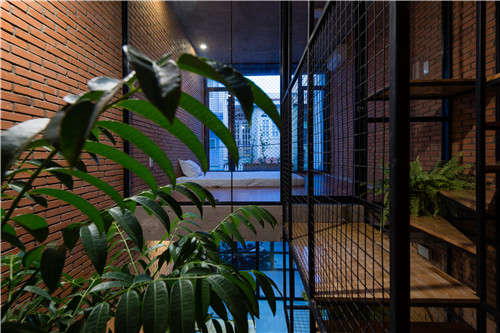 Tropical Space設計的住宅