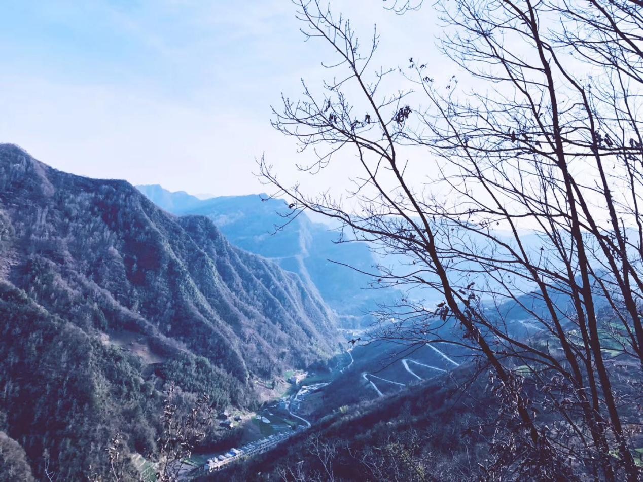 園冶杯一等獎朱文豪:一粒沙中見世界,一座村中見故鄉