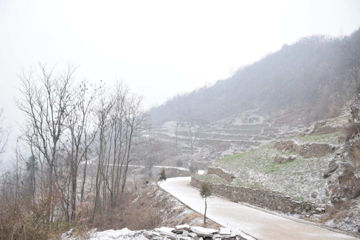 園冶杯一等獎朱文豪:一粒沙中見世界,一座村中見故鄉