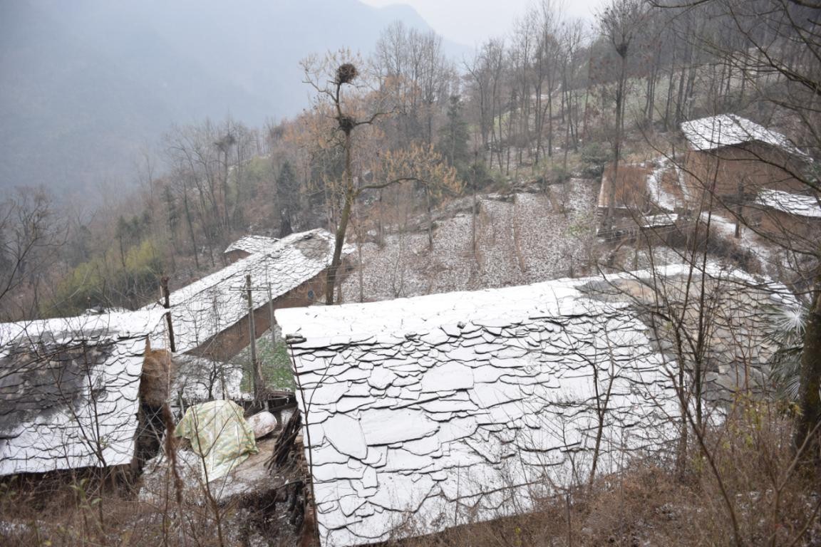 園冶杯一等獎朱文豪:一粒沙中見世界,一座村中見故鄉