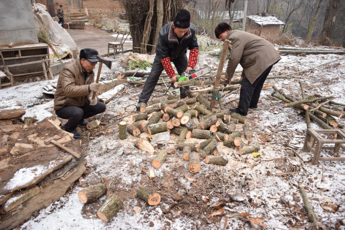 園冶杯一等獎朱文豪:一粒沙中見世界,一座村中見故鄉