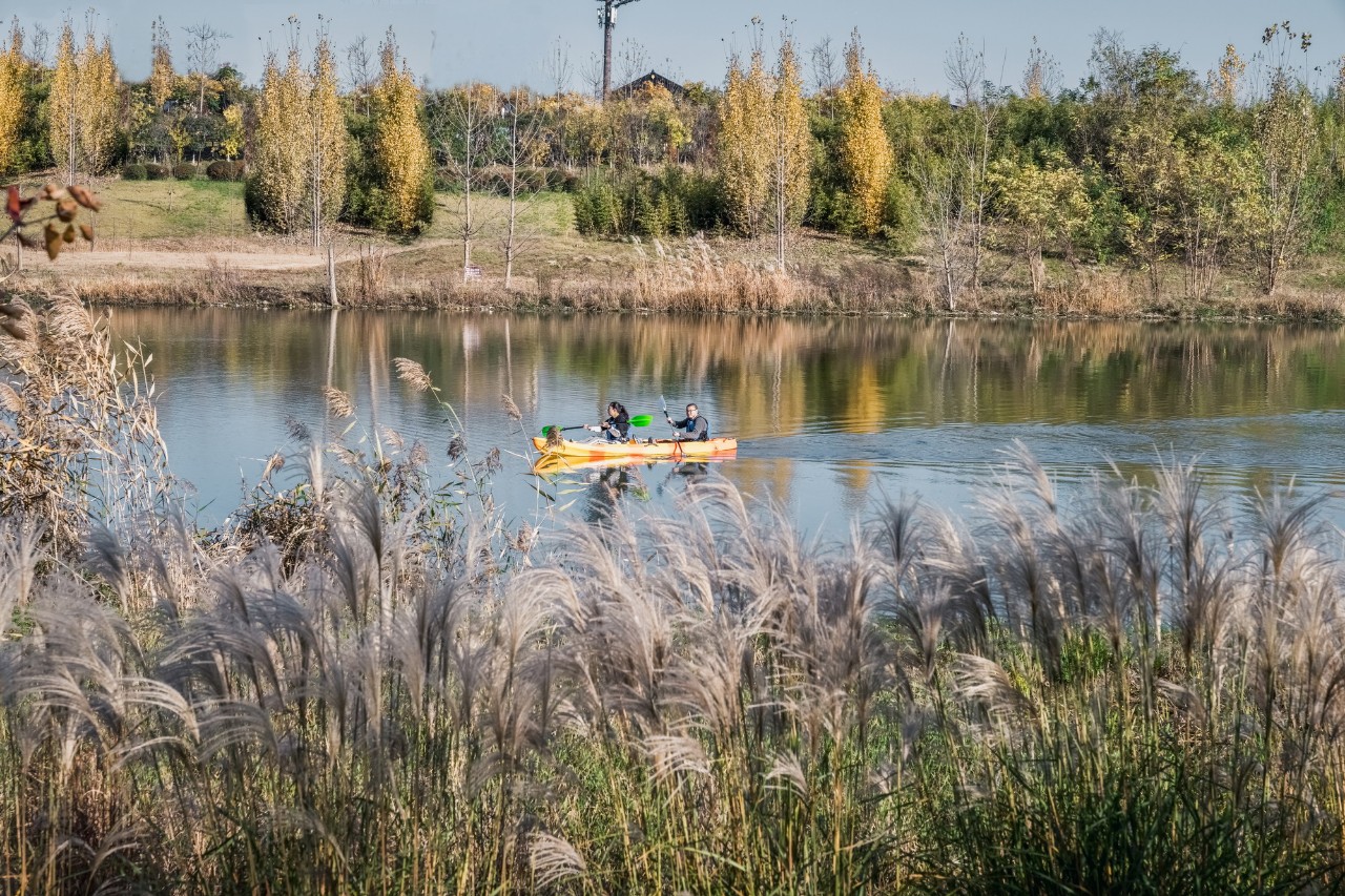 再傳捷報！第十屆園冶杯市政園林大獎佳作云集