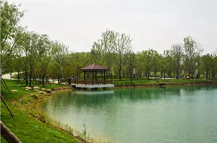 再傳捷報！第十屆園冶杯市政園林大獎佳作云集