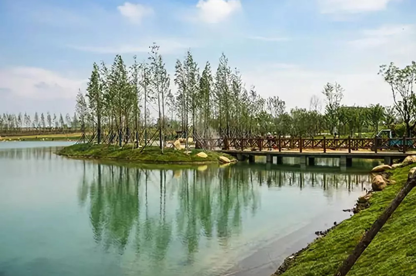 再傳捷報！第十屆園冶杯市政園林大獎佳作云集