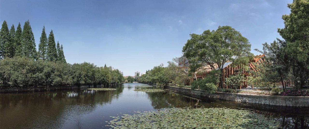 再傳捷報！第十屆園冶杯市政園林大獎佳作云集