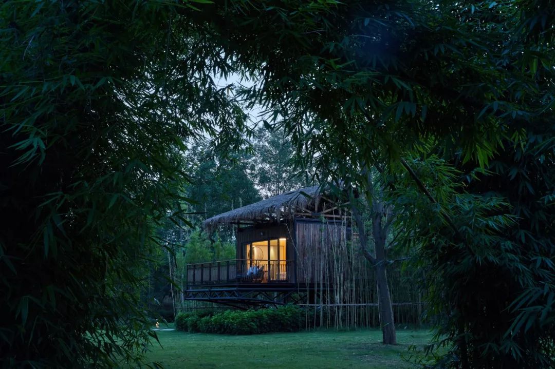 再傳捷報！第十屆園冶杯市政園林大獎佳作云集