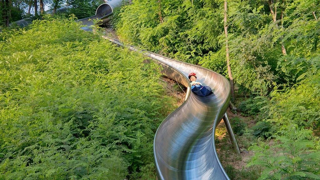 再傳捷報！第十屆園冶杯市政園林大獎佳作云集