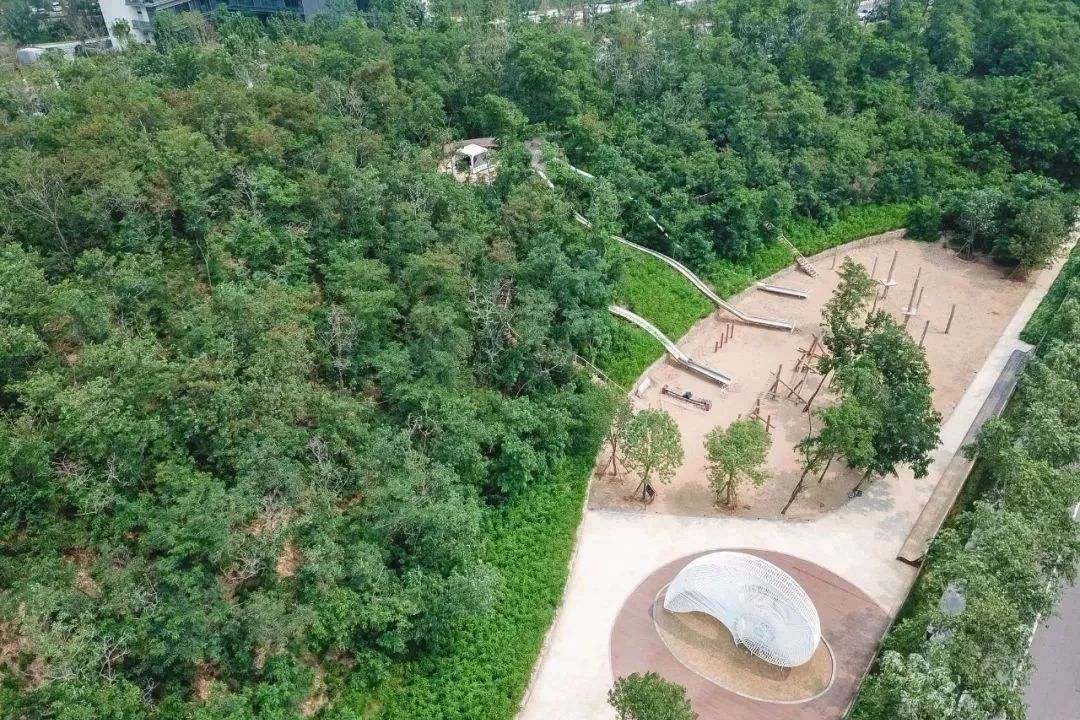 再傳捷報！第十屆園冶杯市政園林大獎佳作云集