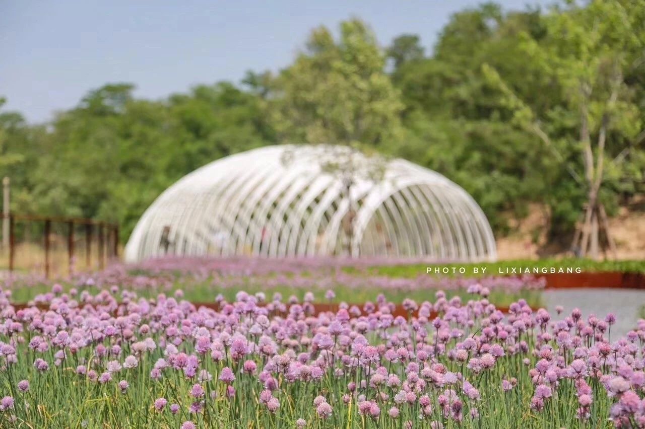 再傳捷報！第十屆園冶杯市政園林大獎佳作云集